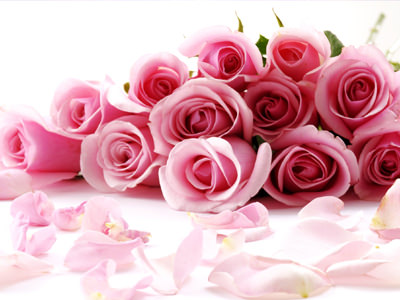 Blog Single